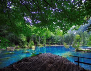 The Blausee is one of the most beautiful lakes in Switzerland. Image source: www.blausee.ch